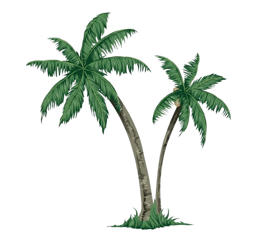 221-2211805_arecaceae-tree-paper-clip-art-drawings-of-palm-tree-removebg-preview